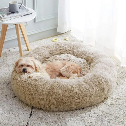 Petit chien beige couché sur un coussin chien moelleux et apaisant, en peluche beige, dans un salon lumineux