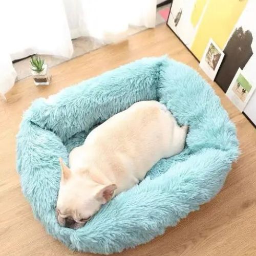 Coussin chien antistress rectangulaire en peluche douce bleu turquoise, avec chien endormi profitant d’un confort apaisant et sécurisant.