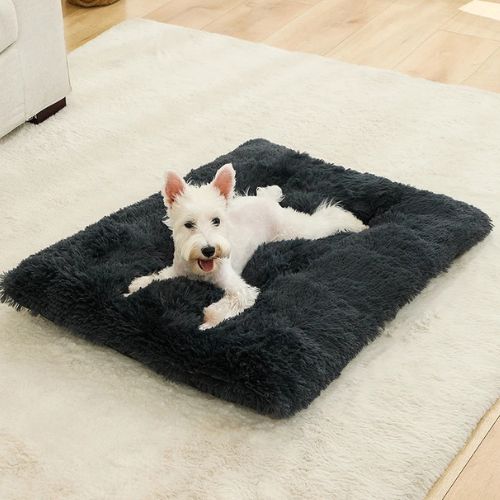 Coussins chien chat moelleux gris en peluche, idéal pour petit chien, avec rembourrage épais et forme rectangulaire, utilisé en intérieur.