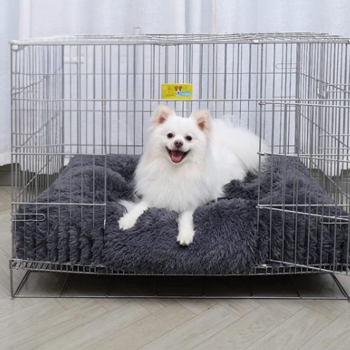 Chien blanc allongé sur un coussin moelleux dans une cage, illustrant un coussin chien de cage adapté et ultra confortable.