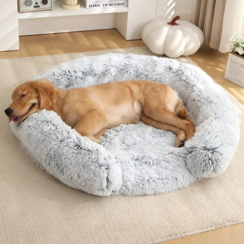 Chien allongé paisiblement dans un coussin chien apaisant en fausse fourrure grise, placé dans un salon lumineux au décor soigné.