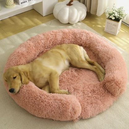 Chien allongé paisiblement dans un coussin chien apaisant en fausse fourrure rose, placé dans un salon lumineux au décor soigné.