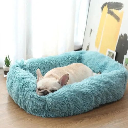 Coussin chien moelleux en peluche turquoise, forme rectangulaire, avec bouledogue français endormi, idéal pour réduire le stress et favoriser un sommeil profond.