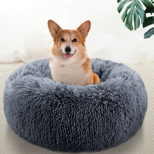 Coussin Chien Oasis Douce