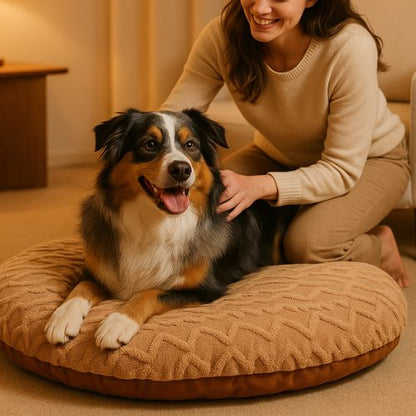 Chien heureux reposant sur un coussin chien marron effet tricot dans un intérieur chaleureux, caressé par sa propriétaire.