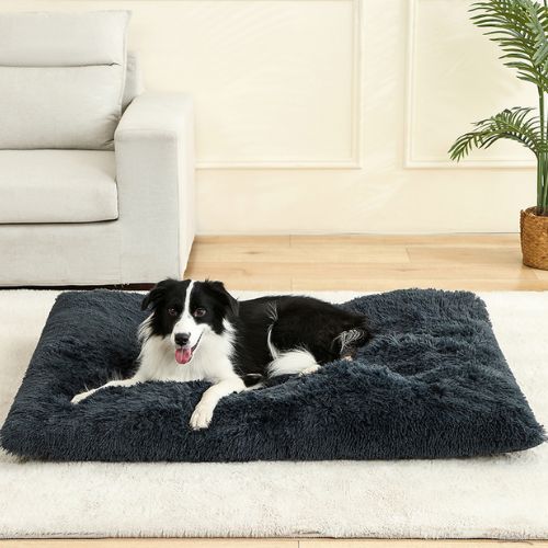 COUSSIN CHIEN gris foncé en peluche douce, parfaitement adapté à une cage, moelleux pour un confort optimal.