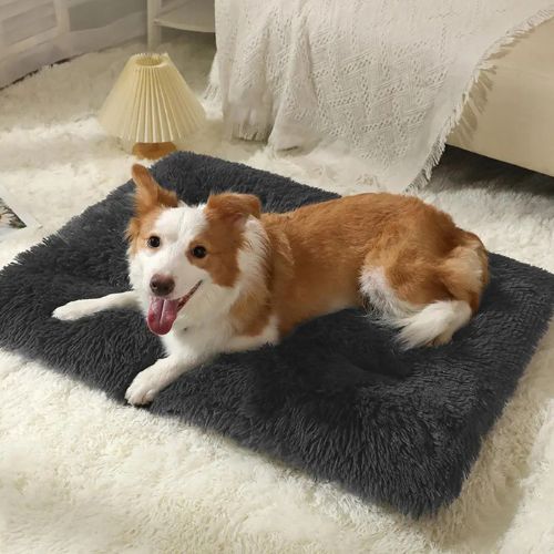 COUSSIN CHIEN épais et ultra confortable, rembourrage visible en fibres douces, idéal pour un usage intérieur