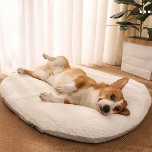 Chien allongé confortablement sur un coussin chien moelleux et douillet, dans un intérieur moderne