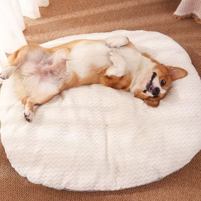 Coussin Chien | Grododo™