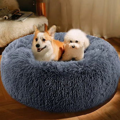 Coussin Chien Oasis Douce