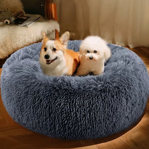 Coussin Chien Oasis Douce