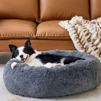 Chien noir et blanc allongé sur un coussin déhoussable pour chien gris doux et rembourré, parfait pour repos et détente.
