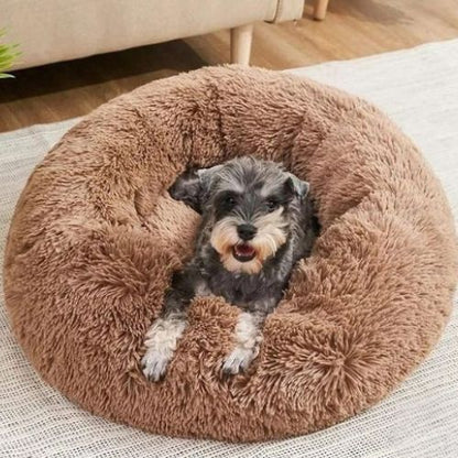 Chien Caniche couché sur un coussin déhoussable pour chien marron moelleux, alliant douceur et sécurité