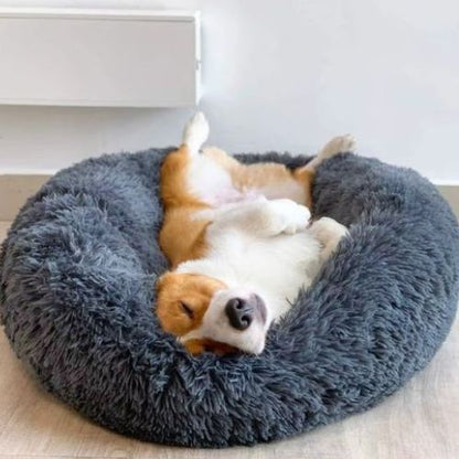 Chien Corgi allongé sur un coussin déhoussable pour chien rond bleu, combinaison idéale de douceur, sécurité et élégance.