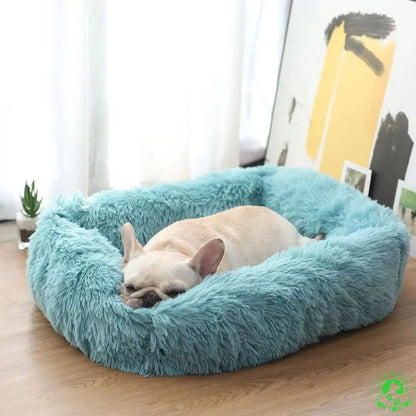 coussin-pour-chien-Bleu