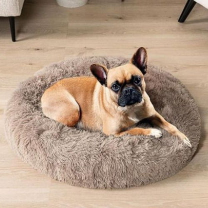 Un bouledogue coucher confortablement sur coussin pour chien XXL marron moelleux chaud en peluche long.