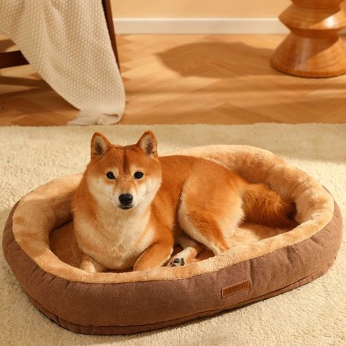 Un Shiba Inu assis dans son coussin pour chien couleur café élégant assorti à la décoration intérieure, confort et style.