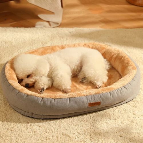 Petit chien blanc endormi sur un coussin pour chien couleur gris, doux et rembourré.