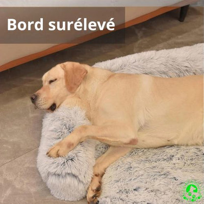 coussin-pour-chien-bord-surélève-coussin-pour-chien-gris-grand-taille-amovible-lavable-fermeture-éclaire-doux-au-toucher-peluche-long-cushybed