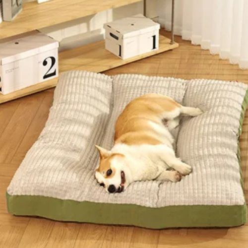 Coussin pour chien moelleux rectangulaire, occupé par un chien de taille moyenne au pelage doré et blanc