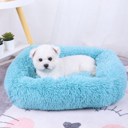 Un petit caniche blanc assis confortablement dans son coussin pour chien bleu, format rectangle avec rebord surélevé pour un sommeil réparateur.