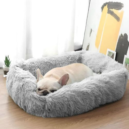 Un bouledogue français blanc allongé paisiblement dans son coussin pour chien douillet format rectangle couleur gris