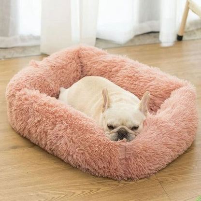 Un bouledogue français blanc se repose tranquillement dans son coussin pour chien moelleux, rebord surélevé, format rectangle couleur rose.