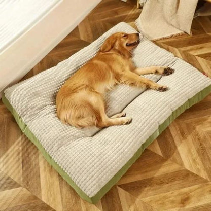 Scène intérieure avec un chien doré couché sur un coussin pour chien rectangulaire doux et apaisant.