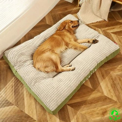 coussin-pour-chien-confortable-vert