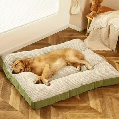 Golden retriever endormi sur un grand coussin pour chien rectangulaire gris clair avec rebords verts