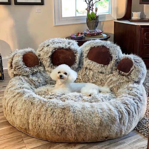 Un caniche assis tranquillement dans un coussin pour chien marron design pattes d'ours avec fond antidérapante offrant confort