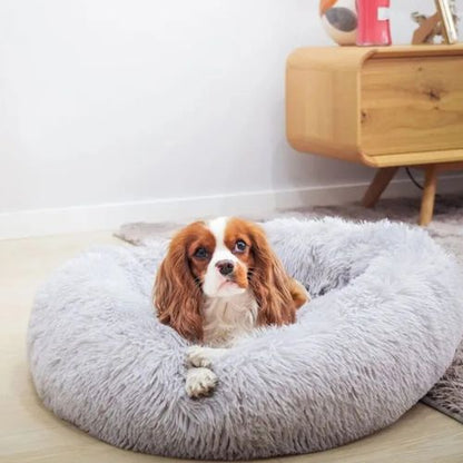 Cavalier King Charles confortablement installé sur un coussin pour chien en fourrure grise