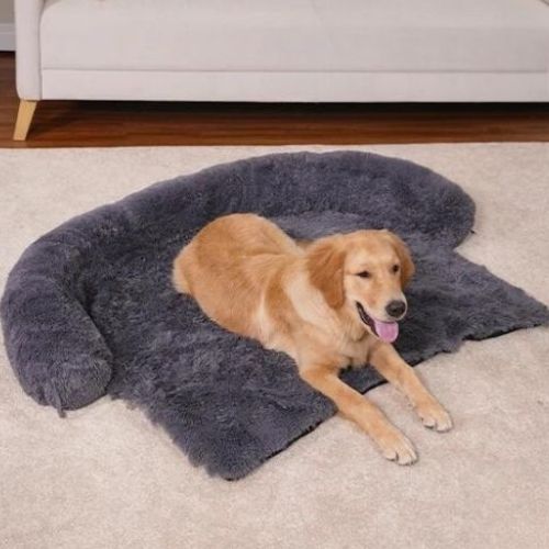 Coussin pour chien gris foncé léger et transportable idéal pour l’extérieur comme l'intérieur.