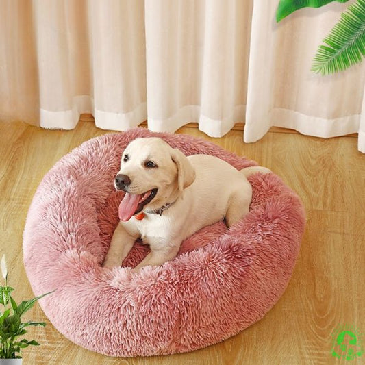 coussin-pour-chien-rose