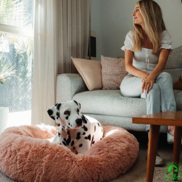 coussin-pour-chien-XXL