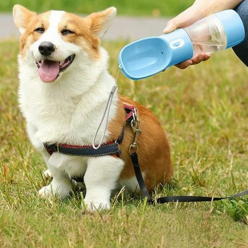 Maître donnant de l’eau à son corgi avec une gourde pour chien bleu portable