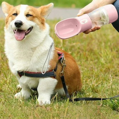 Maître donnant de l’eau à son Corgi avec une gourde pour chien rose ergonomique et légère