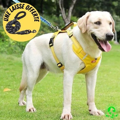 harnais-anti-traction-chien-jaune-une-laisse-ergonomique-offerte-chien-grand-moyen-taille-bouledogue-français-boxer-labrador-Beagle-durable-doux-confortable-résistant-poigne-ajustable-sleekdog