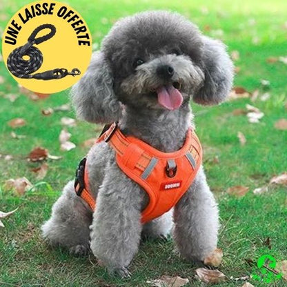 harnais-anti-traction-chien-orange-une-laisse-ergonomique-offerte-taille-moyen-bouledogue-français-boxer-lavable-labrador-Beagle-durable-doux-confortable-résistant-sleekdog