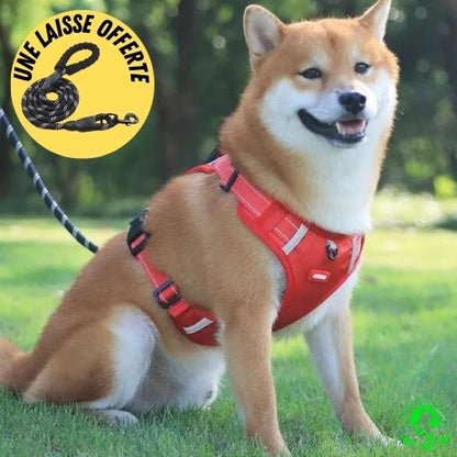 harnais-anti-traction-chien-rouge-une-laisse-offerte-une-laisse-ergonomique-offerte-chien-grand-moyen-petite-taille-bouledogue-français-yorkshire-boxer-labrador-Beagle-durable-doux-confortable-résistant-poigne-ajustable-réfléchissant-sleekdog
