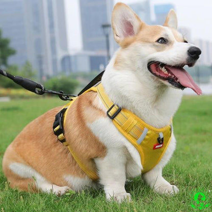 harnais-anti-traction-chien-jaune-une-laisse-offerte-une-laisse-ergonomique-offerte-chien-grand-moyen-petite-taille-bouledogue-français-yorkshire-boxer-labrador-Beagle-durable-doux-confortable-résistant-poigne-ajustable-réfléchissant-sleekdog