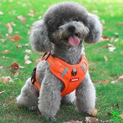 harnais-anti-traction-chien-rouge-une-laisse-offerte-une-laisse-ergonomique-offerte-chien-grand-moyen-petite-taille-bouledogue-français-yorkshire-boxer-labrador-Beagle-durable-doux-confortable-résistant-poigne-ajustable-léger-respirant-réfléchissant-sleekdog