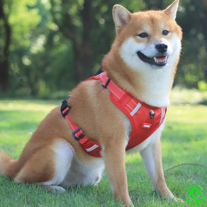 harnais-anti-traction-chien-rouge-une-laisse-offerte-grand-moyen-petite-taille-bouledogue-français-yorkshire-boxer-labrador-Beagle-durable-doux-confortable-résistant-poigne-ajustable-réfléchissant-sleekdog