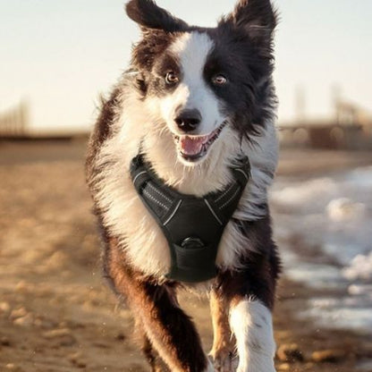 harnais-anti-traction-resistant-ajustable-respirant-duarble-harnais-facile-a-mettre-reglable-reflechissant-lavable-chien-grand-taille-noir