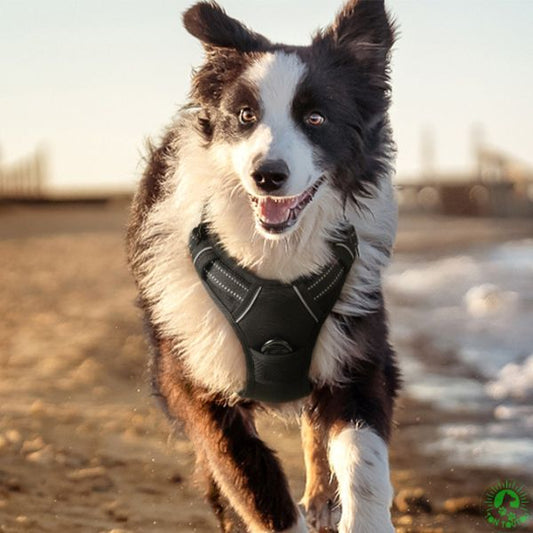 harnais-anti-traction-resistant-ajustable-respirant-duarble-harnais-facile-a-mettre-reglable-reflechissant-lavable-chien-grand-taille-noir