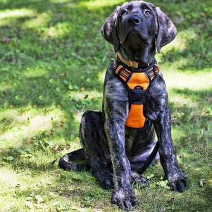 harnais-anti-traction-resistant-ajustable-respirant-duarble-harnais-facile-a-mettre-reglable-reflechissant-lavable-chien-grand-taille-orange