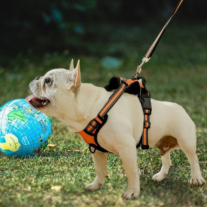 harnais-anti-traction-petit-moyen-grand-taille-chien-harnais-en-Y-anti-traction-chien-qui-tire-orange