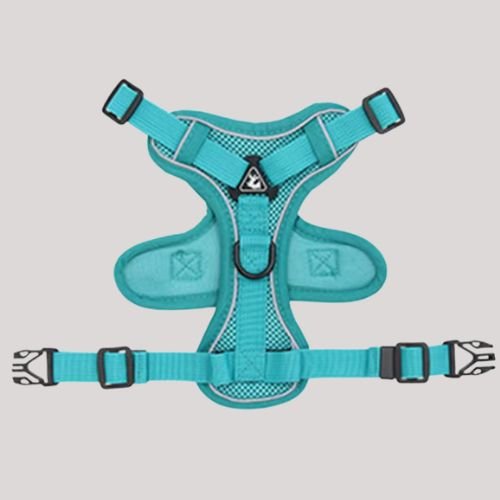 Harnais petit chien et chat offrant confort et contrôle