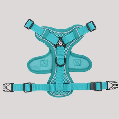 Harnais petit chien et chat offrant confort et contrôle
