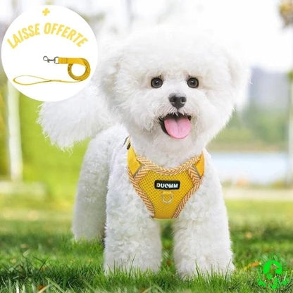 Harnais-petit-chien-harnais-chat-respirant-résistant-solide-ajustable-harnais-yorkshire-caniche-chihuahua-Bichon-Maltais-spitz-nain-Jack Russell-terrier-confortable-jaune